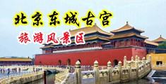 黑丝高跟长腿自慰抠逼高潮喷水中国北京-东城古宫旅游风景区